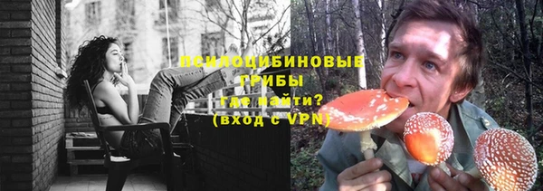 круглые Алзамай