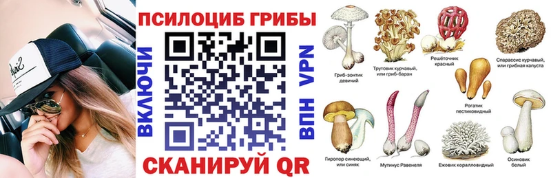 закладки  Богучар  Галлюциногенные грибы Psilocybe 